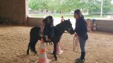 stages d'équitation