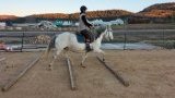 Cours d'équitation