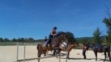 stages d'équitation